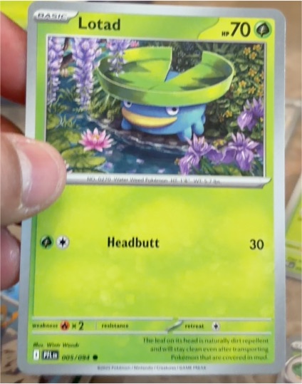 2025 Pokémon TCG Phantasmal Flames #005 Lotad — front