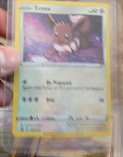 2021 Pokémon SWSH127 Eevee Black Star Promo — front