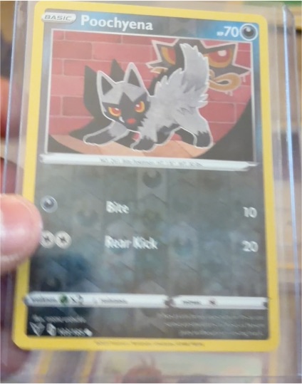2020 Pokémon #103 Poochyena — front