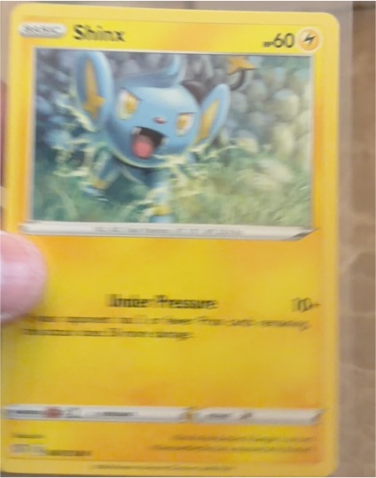 2021 Pokémon #31 Shinx — front