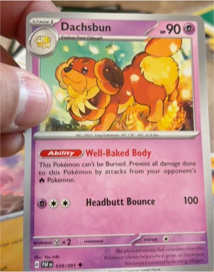 2023 Scarlet & Violet Paldean Fates #039 Dachsbun — front