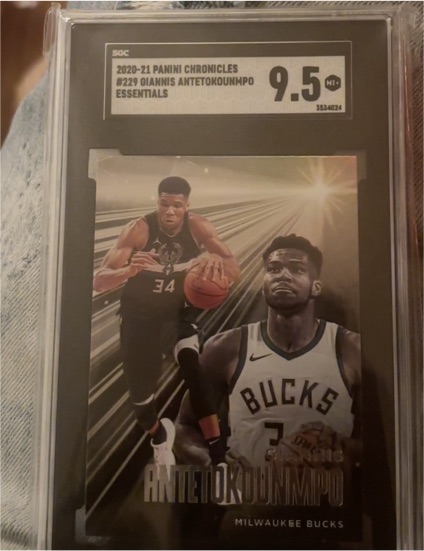 2020-21 Panini Chronicles #229 Giannis Antetokounmpo Essentials — front