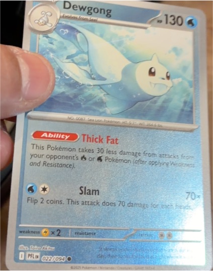 2025 Pokémon Phantasmal Flames #022 Dewgong — front