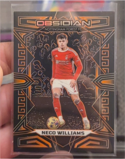 2023-24 Panini Obsidian Neco Williams — front
