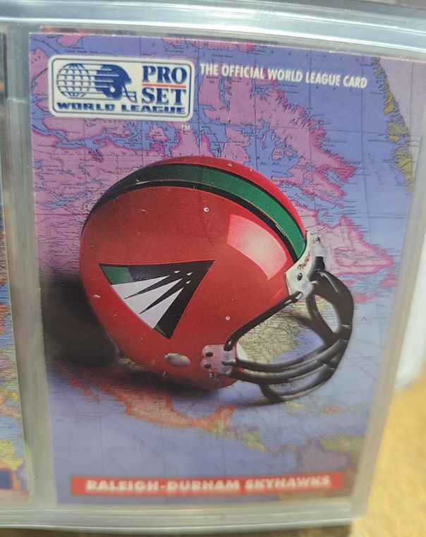 1991 Pro Set WLAF Helmets #8 Raleigh-Durham Skyhawks — front