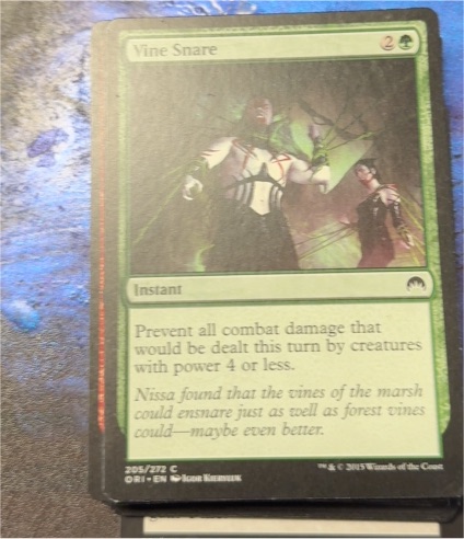 Magic The Gathering 2015 #205 Vine Snare — front