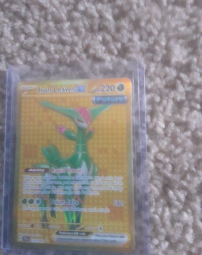 2024 Pokémon TCG Sv05: Temporal Forces #213 Iron Leaves ex — front
