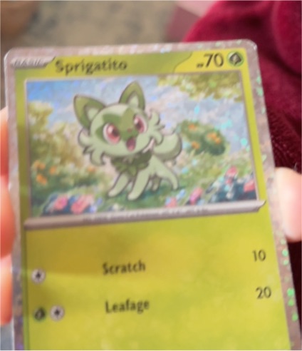 2023 Pokémon SV01: Scarlet & Violet Base Set #013 Sprigatito — front
