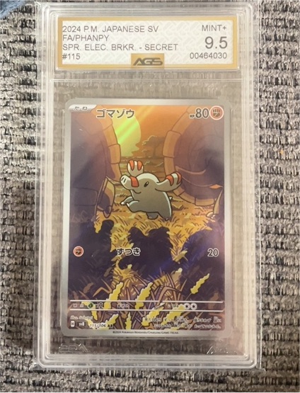 2024 Pokémon SV8 #115 Phanpy — front