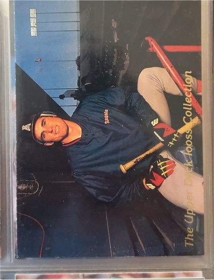 1993 Upper Deck Iooss Collection #WI1 Tim Salmon — front
