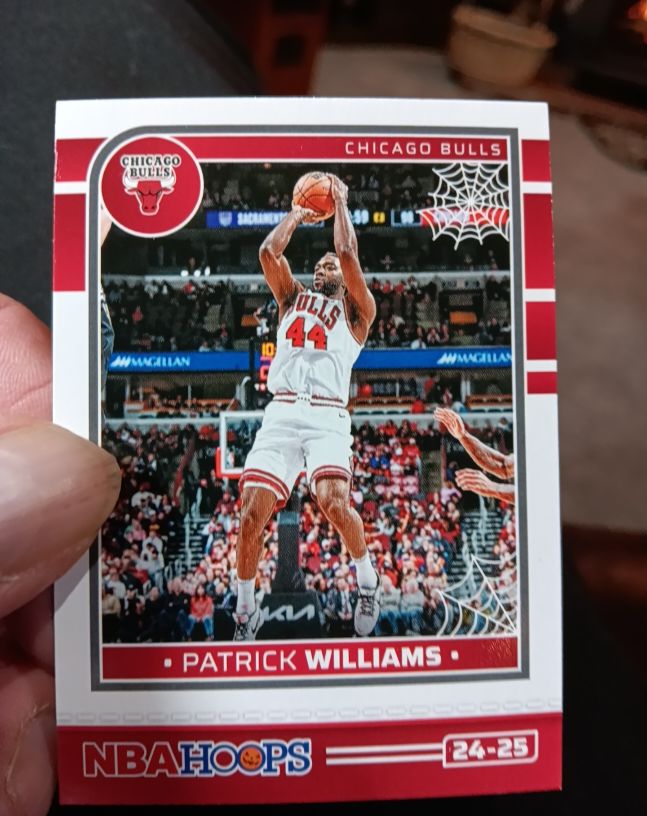 2024-25 Panini NBA Hoops Haunted Hoops #24-25 Patrick Williams — front