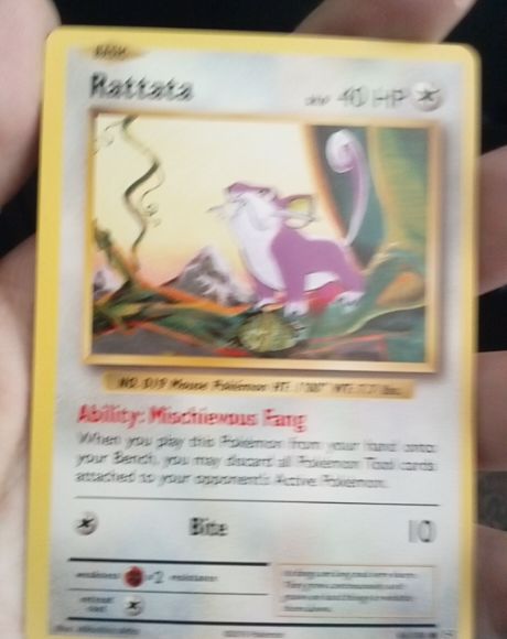 2016 Pokémon XY Evolutions #66 Rattata — front