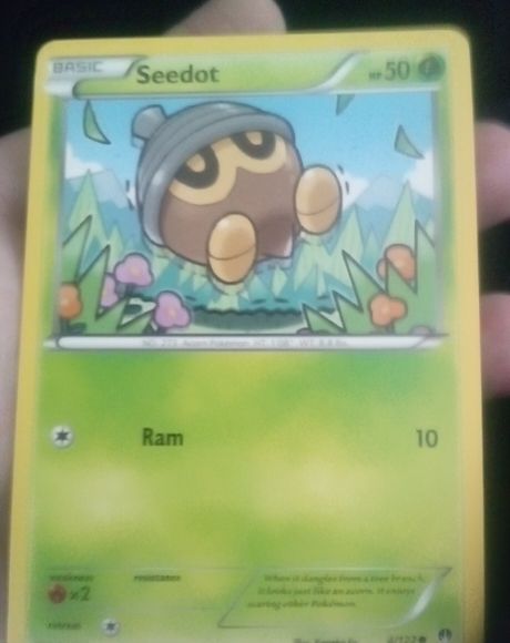 2016 Pokémon XY BREAKpoint #4 Seedot — front