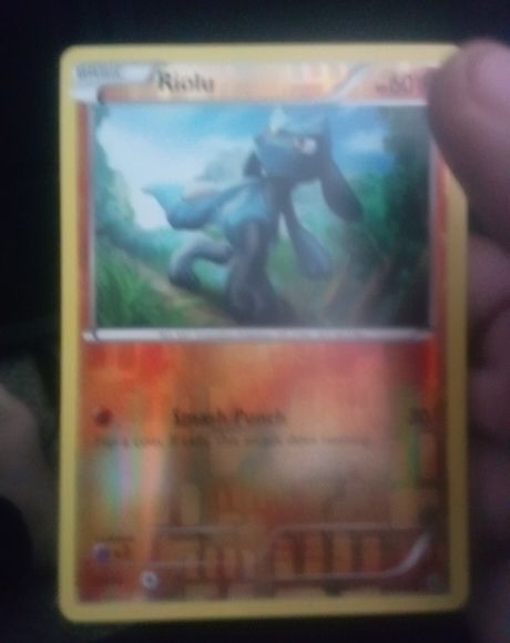2015 Pokémon XY Fates Collide #46 Riolu — front