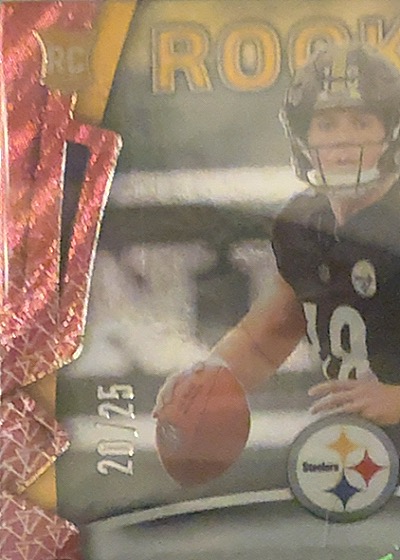 2008 Donruss #20 Troy Polamalu — front