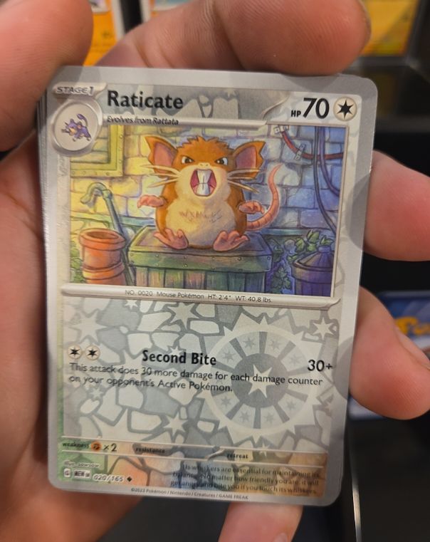 2023 Pokémon Scarlet & Violet 151 #020 Raticate — front