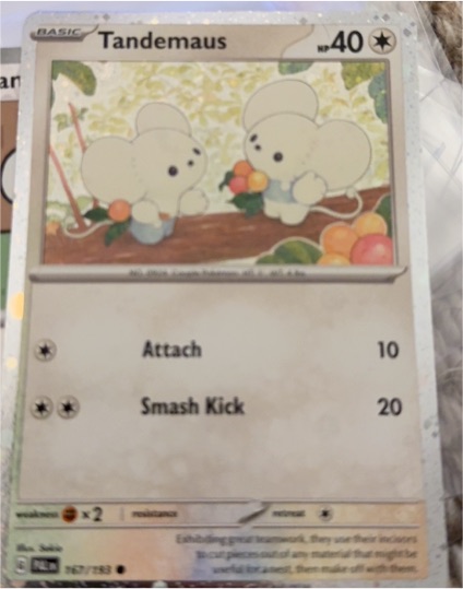 2023 Pokemon SV02: Paldea Evolved #167 Tandemaus — front