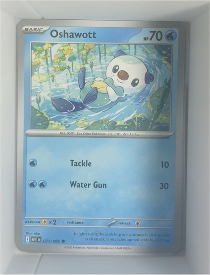2025 Pokémon TCG White Flare #021 Oshawott — front
