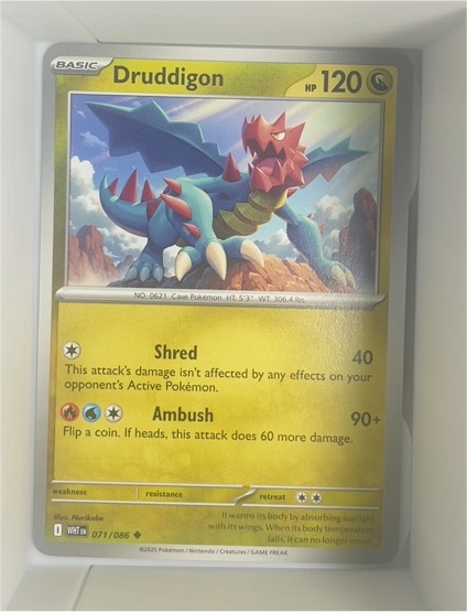 2025 Pokémon 071 Druddigon — front