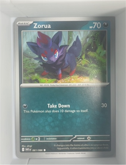 2025 Pokémon SV: White Flare #061 Zorua — front