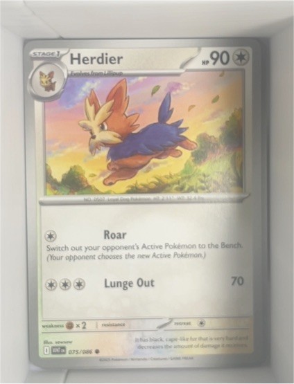 2025 Pokémon TCG Sv: White Flare #075 Herdier — front