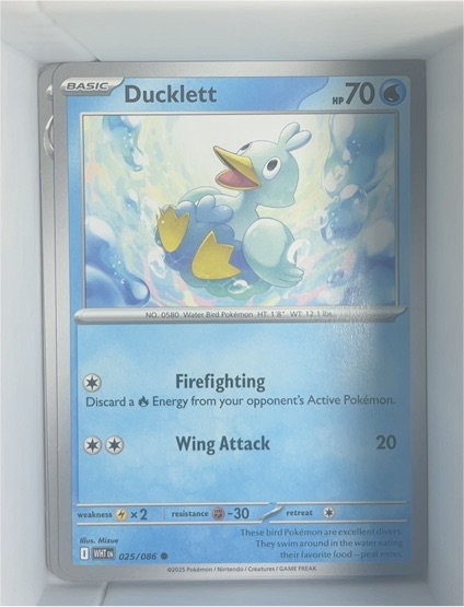 2025 Pokémon SV: White Flare #025 Ducklett — front