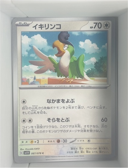 2023 Pokémon Scarlet & Violet sv1V #067 Squawkabilly — front