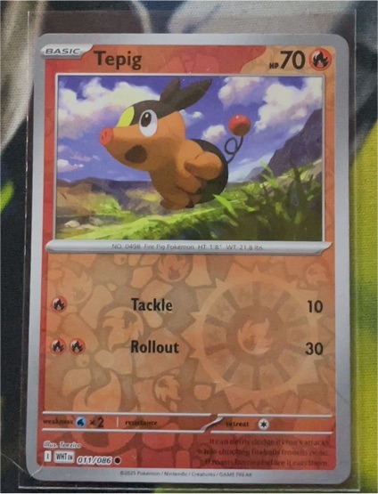2025 Pokémon #011 Tepig — front