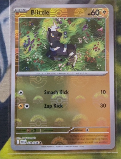 2023 Pokémon SV: White Flare #031 Blitzle — front