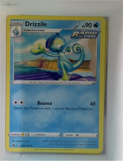 2021 Pokémon SWSH06: Chilling Reign #042 Drizzile — front