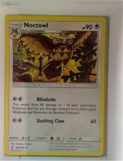 2023 Pokémon 166 Noctowl — front