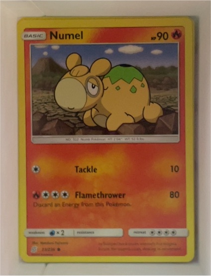 2019 Pokémon Sun & Moon Unified Minds #23 Numel — front