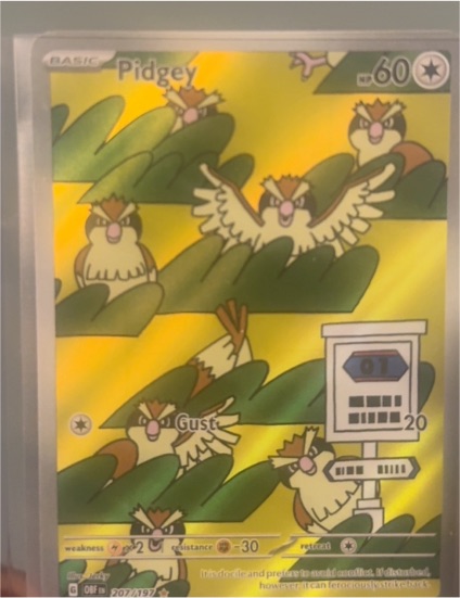 2023 Pokémon SV03: Obsidian Flames #207 Pidgey Illustration Rare — front