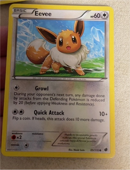 2013 Pokémon Plasma Freeze #89 Eevee — front