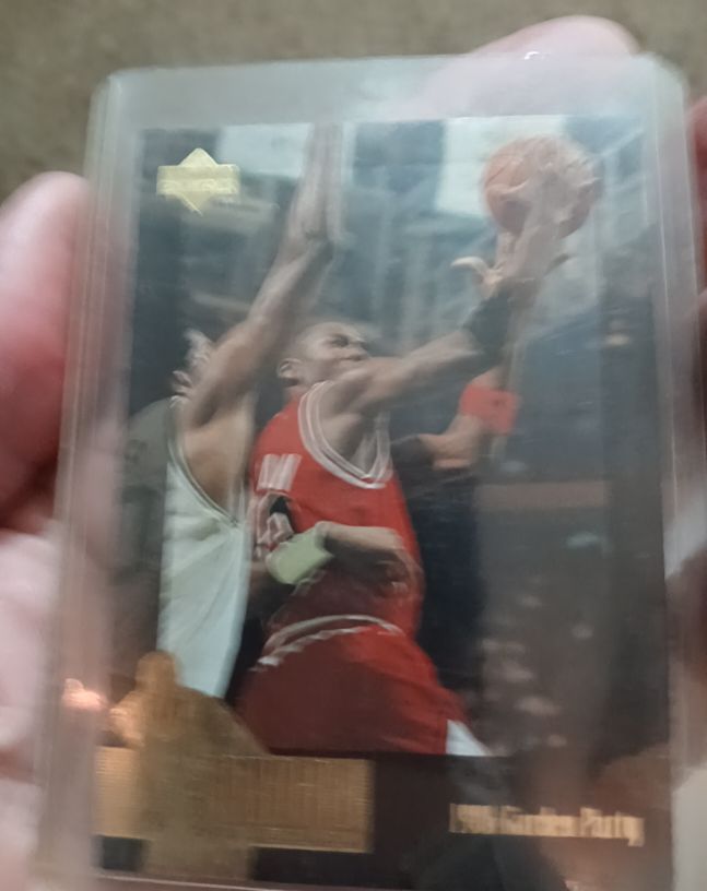 1995-96 Upper Deck Jordan Collection #JC13 Michael Jordan Garden Party — front