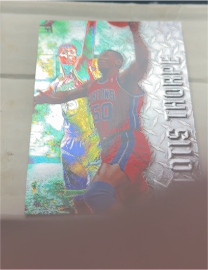 1996-97 Fleer Metal #50 Donnis Thorpe — front