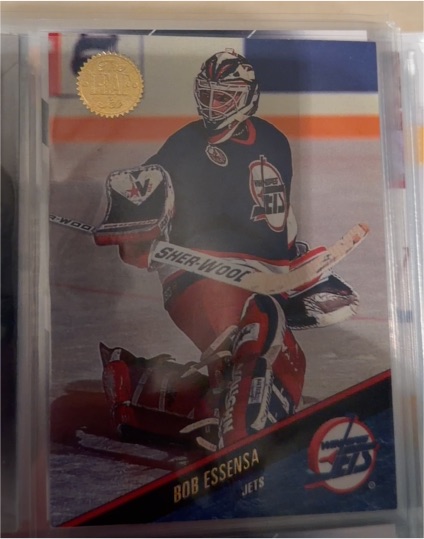 1993-94 Leaf #38 Bob Essensa — front