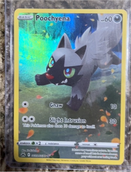 2023 Pokémon Crown Zenith #GG33 Poochyena — front