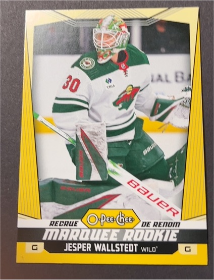 2024-25 O-Pee-Chee #541 Jesper Wallstedt — front