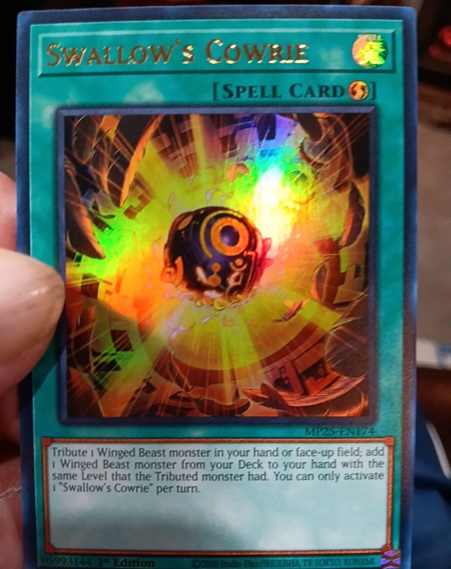 2025 Yu-Gi-Oh! MP25-EN174 Swallow's Cowrie — front