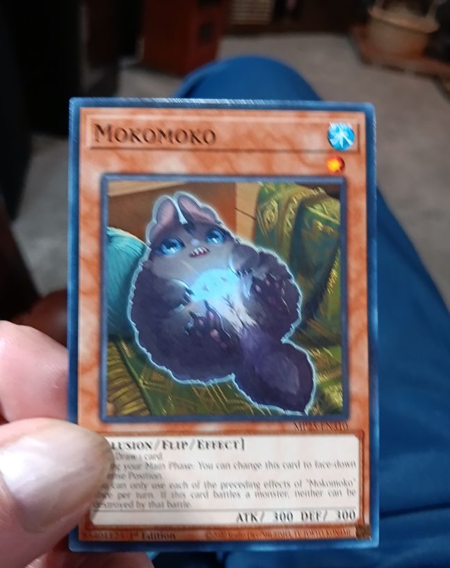 Yu-Gi-Oh! PHNI-EN033 Mokomoko — front