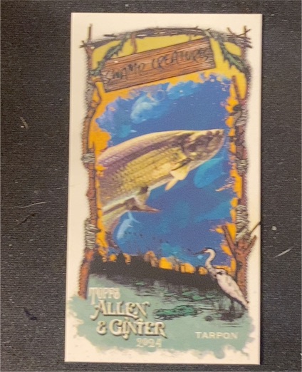 2024 Topps Allen & Ginter #SC-21 Tarpon Swamp Creatures — front