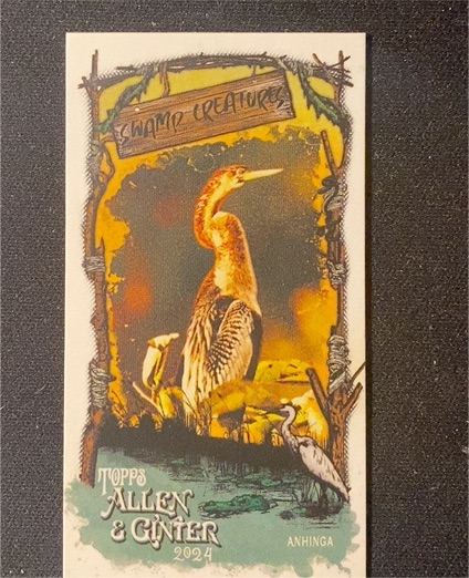 2024 Topps Allen & Ginter Mini Swamp Creatures #SC-10 Anhinga — front