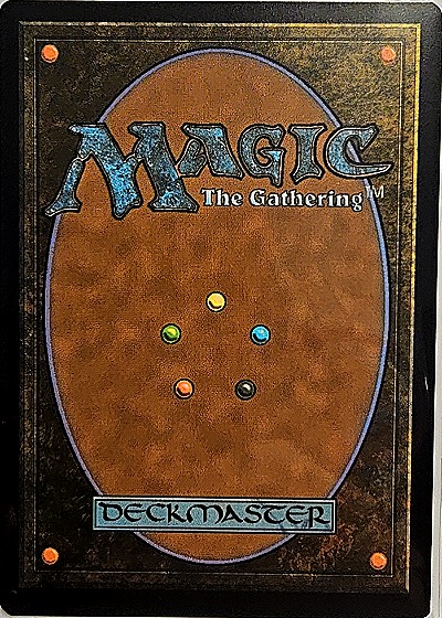 2025 Magic: The Gathering #110 Professional Wrestler — back