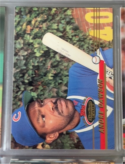 1993 Topps Stadium Club #203 Andre Dawson — front