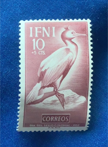 1952 Ifni #83 Common Shag Bird Stamp — front
