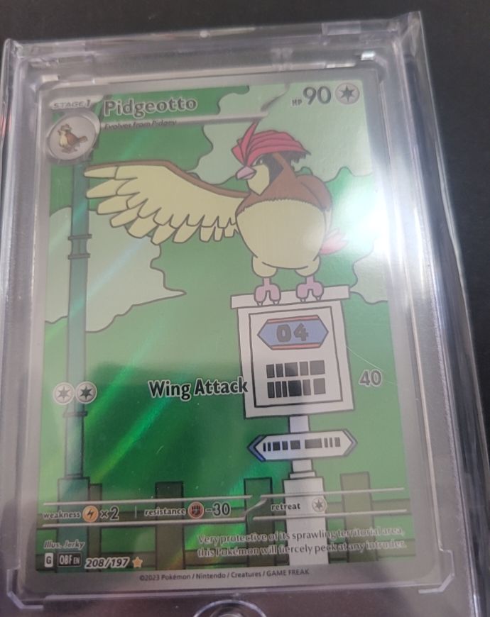 2023 Pokémon #208 Pidgeotto Obsidian Flames Illustration Rare — front