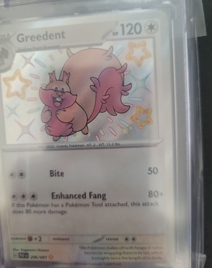 2024 Pokémon TCG Paldean Fates #206 Greedent — front