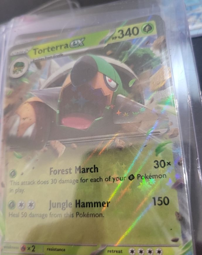 2024 Pokemon Temporal Forces #012 Torterra ex — front