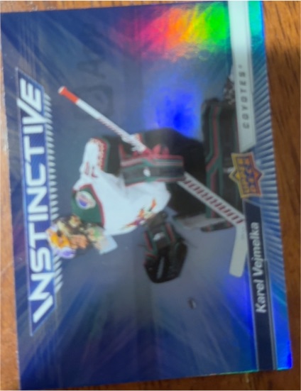 2023-24 Upper Deck #IN-12 Karel Vejmelka Instinctive — front